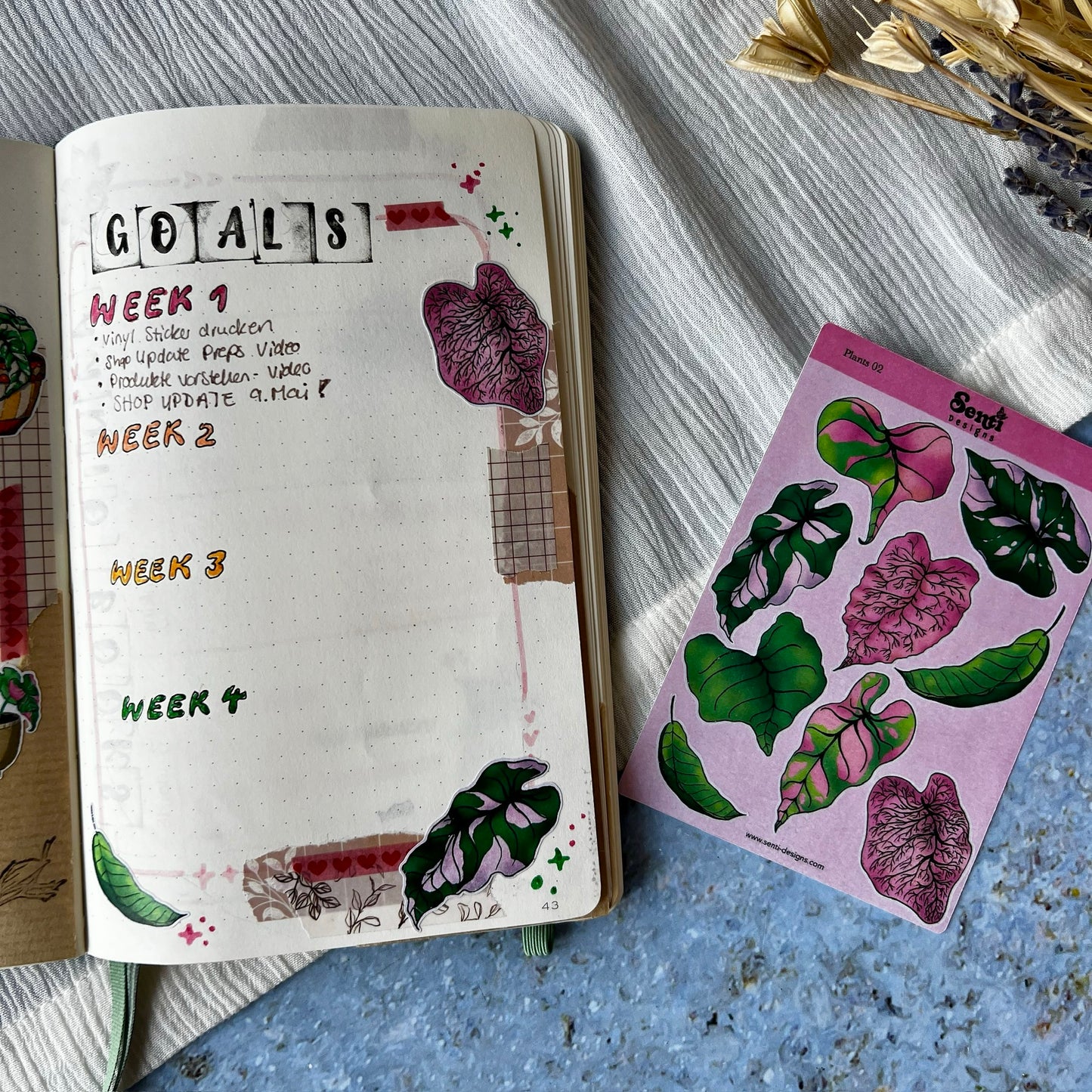 Sticker Sheet - Plant Leaves