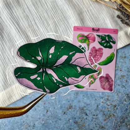Sticker Sheet - Plant Leaves