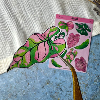 Sticker Sheet - Plant Leaves